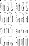 Cardiac function studies.