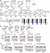 K8 promotes the expression of chemokines but not the accumulation of transi