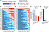 Immunodominance hierarchy of T cell responses to structural and accessory p