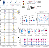 No evidence of trained immunity in PBMCs or circulating monocytes after two