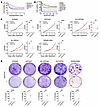 BET bromodomain inhibitors suppressed cell growth in DMG cells.