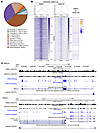 BET bromodomain inhibition altered genome-wide H3K37ac occupancy and transc