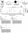 Identification of PINK1 epitopes eliciting T cell responses in PD.