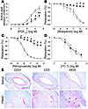 Effects of allogeneic T cells on arterial graft function at 2 weeks in vivo