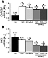 Central control by central GLP-1 of ChREBP and HKII mRNA in muscles. (A) Ch