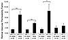 Laser vasoocclusion increases retinal vascular leakage more in wild-type (Y