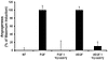 TG100572 hydrochloride inhibits angiogenesis induced by FGF or VEGF in vivo