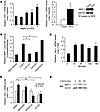 HFD and FAs induce MKP-1 overexpression in skeletal muscle.