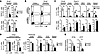 Lack of intestinal Th17 cells in αv-tie2 mice.