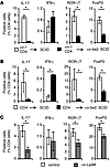 αv Expression by myeloid cells is required for Th17 cell differentiation.