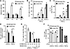 Expression of αv integrins on DCs is required for T cell responses to laten