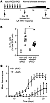 αv Blockade inhibits Th17 cell differentiation and protects from EAE in viv