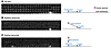 Three modes of insulin granule dynamics.