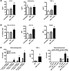 Bone loss elicited by MCV-ACPAs is induced by TNF-mediated increase of oste