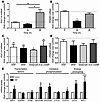 NP induces PGC-1α and mitochondrial oxidative genes in human primary myotub