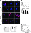 Effect of AZD0530 on proliferation and cell cycle profile of D2.0R cells on