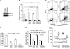 Combination of AZD0530 and AZD6244 induces apoptosis of D2.0R cells on BME