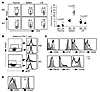 Enumeration and phenotypic characterization of GP96-null Tregs.