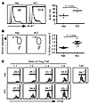 Increased turnover of Tregs and their compromised in vitro suppressive func