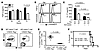 GP96 controls mTGF-β bioactivity.