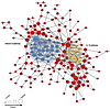 Connection among the vitamin D– and IL-10–signaling pathway genes (blue and