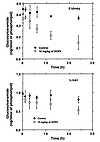 Time-dependent changes in glucosylceramide content of kidney and liver in C