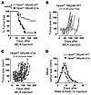 NK cell–intrinsic heparanase is indispensable for efficient surveillance of