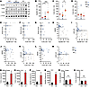 Monitoring TLR2, TLR4, and MyD88 levels in the CNS of individuals clinicall