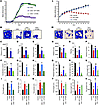 WT TIDM, but not mTIDM, peptide protects mice from EAE and CIA.