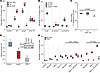 P. aeruginosa–induced ferroptosis is affected by manipulations of PLs in HB