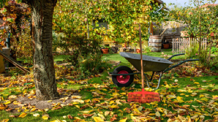 Get your garden ready for the colder months with these tips. Source: Getty