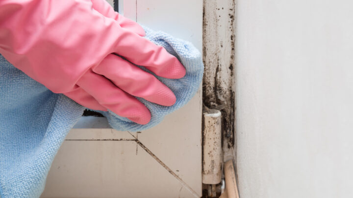 From skin rashes to unexplained illnesses, there are many ways mould in the home can impact your health and wellbeing. Source: Getty Images. 