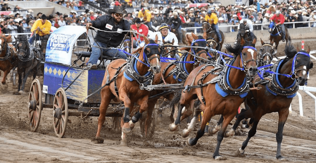 Chuckwagon races (@calgarystampede/Instagram)