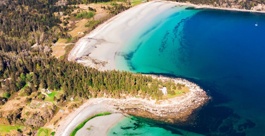 7 reasons you NEED to visit Hornby Island this summer