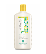 ANDALOU naturals Sunflower & Citrus Brilliant Shine Shampoo