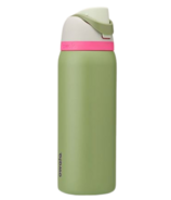 Owala FreeSip Insulated Stainless Steel Water Bottle Neo Sage