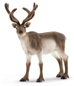 Schleich Reindeer