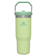 Stanley The IceFlow Flip Straw Tumbler Citron