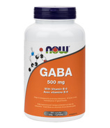 NOW Foods B-6 Plus 500mg GABA