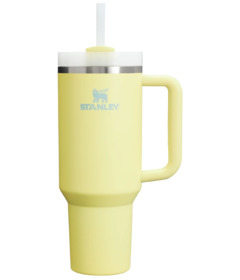 Stanley The Quencher H2.0 FlowState Tumbler Pomelo