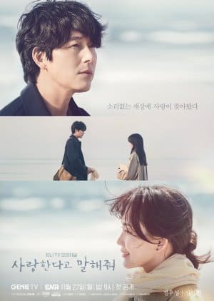Nodrakor Tell Me That You Love Me Subtitle Indonesia