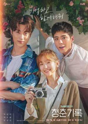 Drakor Record of Youth subtitle indonesia