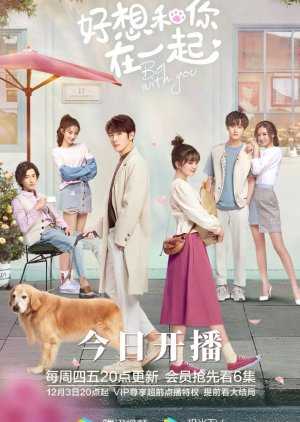 Download Drama Be With You Subtitle Indonesia