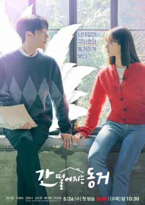 Download My Roommate is a Gumiho Subtitle Indonesia