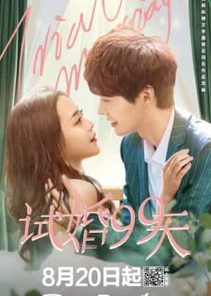 Download Trial Marriage Subtitle Indonesia