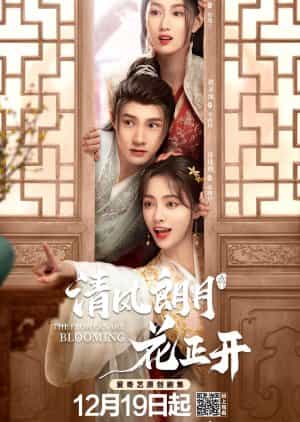 Download Drama The Flower are Blooming Subtitle Indonesia