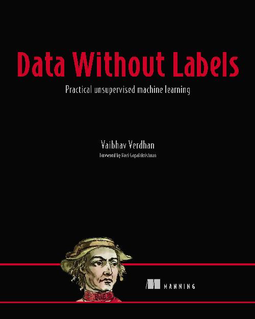 Data Without Labels cover