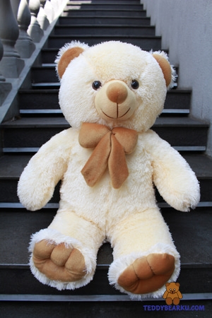 Kumpulan Foto Boneka Lucu Dan Imut