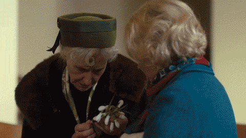 Image - GIF-13_v2.gif