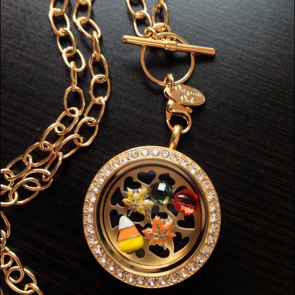 Origami Owl Jewelry Origami Owl Living Locket Necklace Poshmark